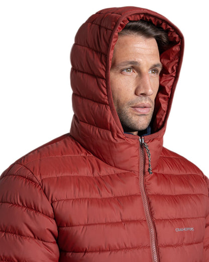 Red Jasper Coloured Craghoppers Mens Compresslite IX Hooded Insulating Jacket on white background 