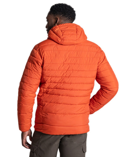 Sedona Coloured Craghoppers Mens Compresslite IX Hooded Insulating Jacket on white background 