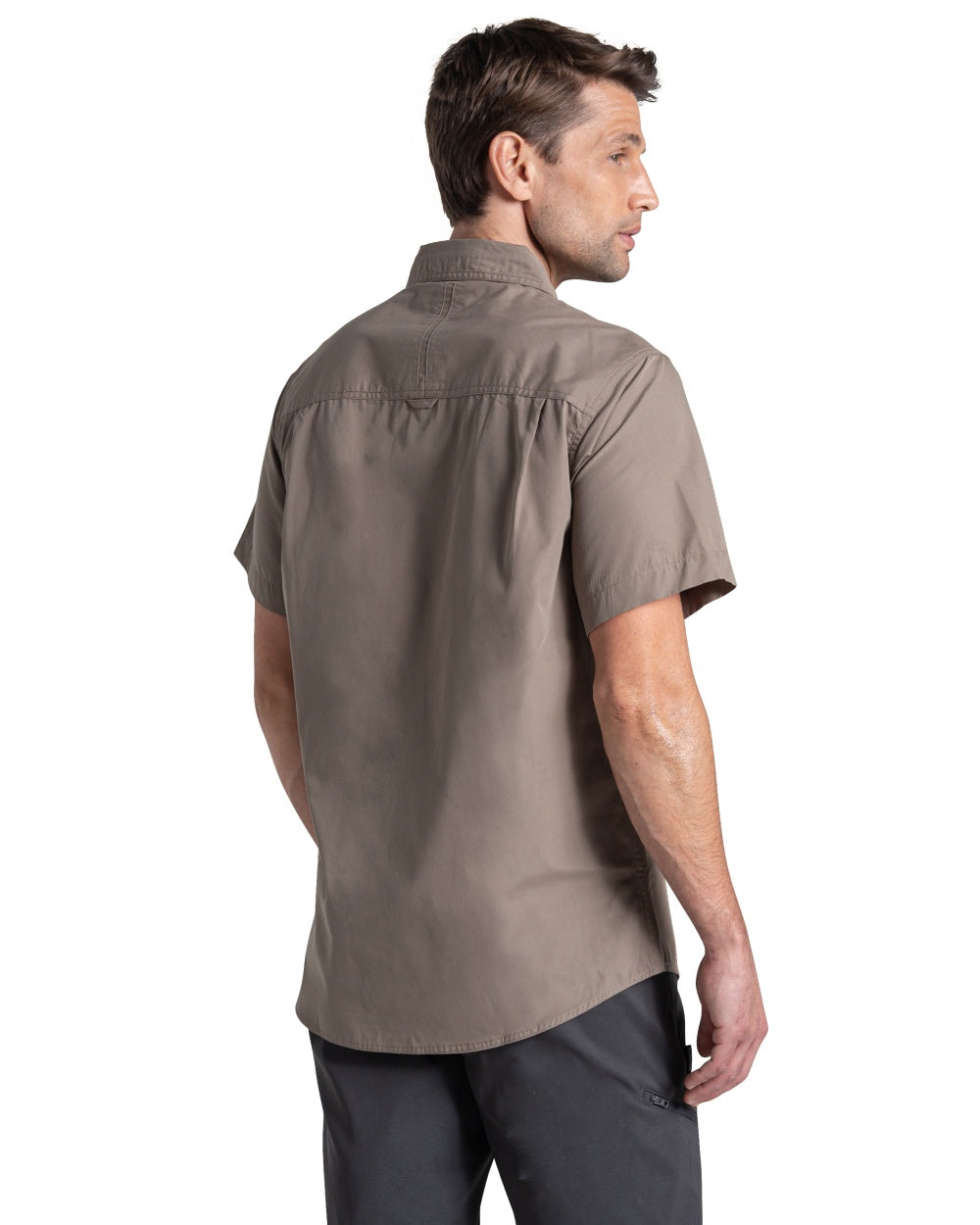 Pebble coloured Craghoppers Mens Kiwi II Short Sleeved Shirt on white background 