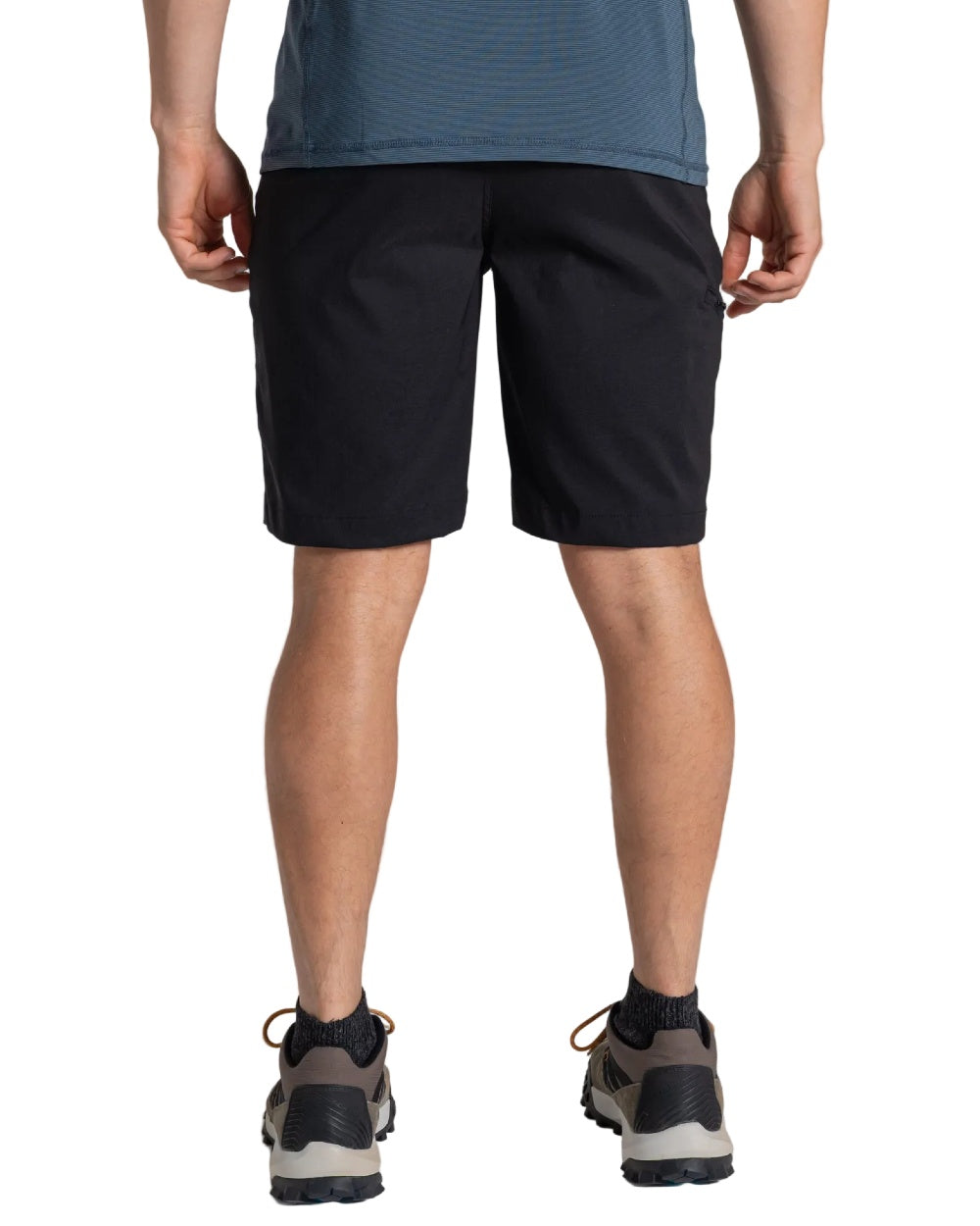 Black coloured Craghoppers Mens Kiwi Pro III Shorts on white background 