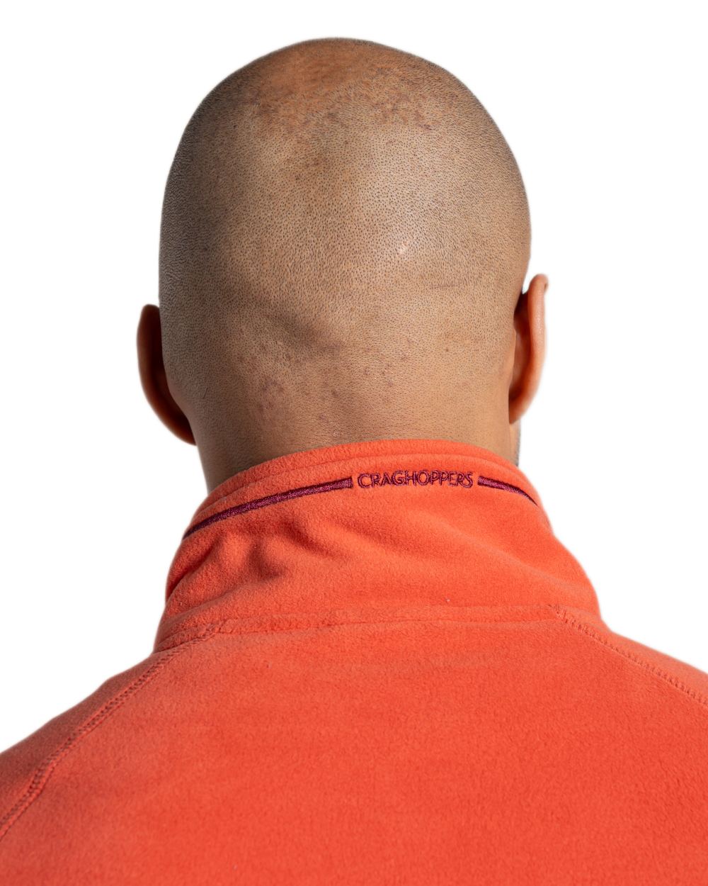 Feldspar coloured Craghoppers Mens National Trust Corey II Half Zip Fleece on white background 