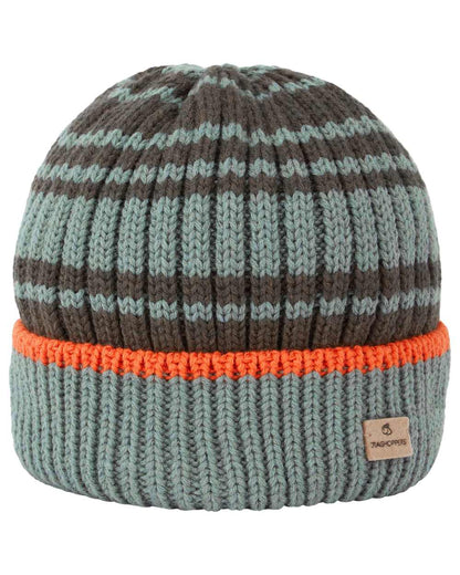 Laurel Green coloured Craghoppers Mens National Trust Shale Hat on white background 