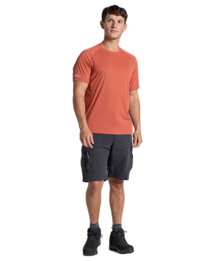Dark Sahara coloured Craghoppers Mens NosiLife SolarShield+ Short Sleeved T-Shirt on white background 