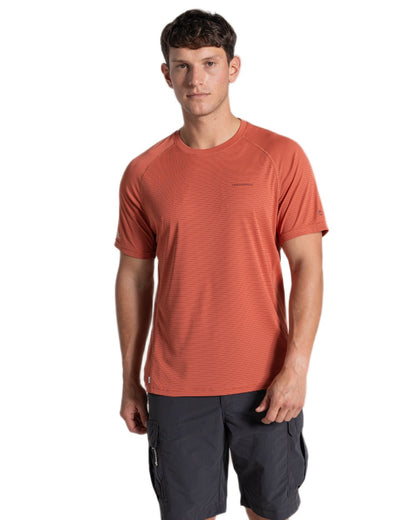 Dark Sahara coloured Craghoppers Mens NosiLife SolarShield+ Short Sleeved T-Shirt on white background 