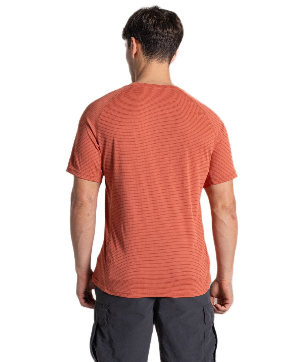 Dark Sahara coloured Craghoppers Mens NosiLife SolarShield+ Short Sleeved T-Shirt on white background 