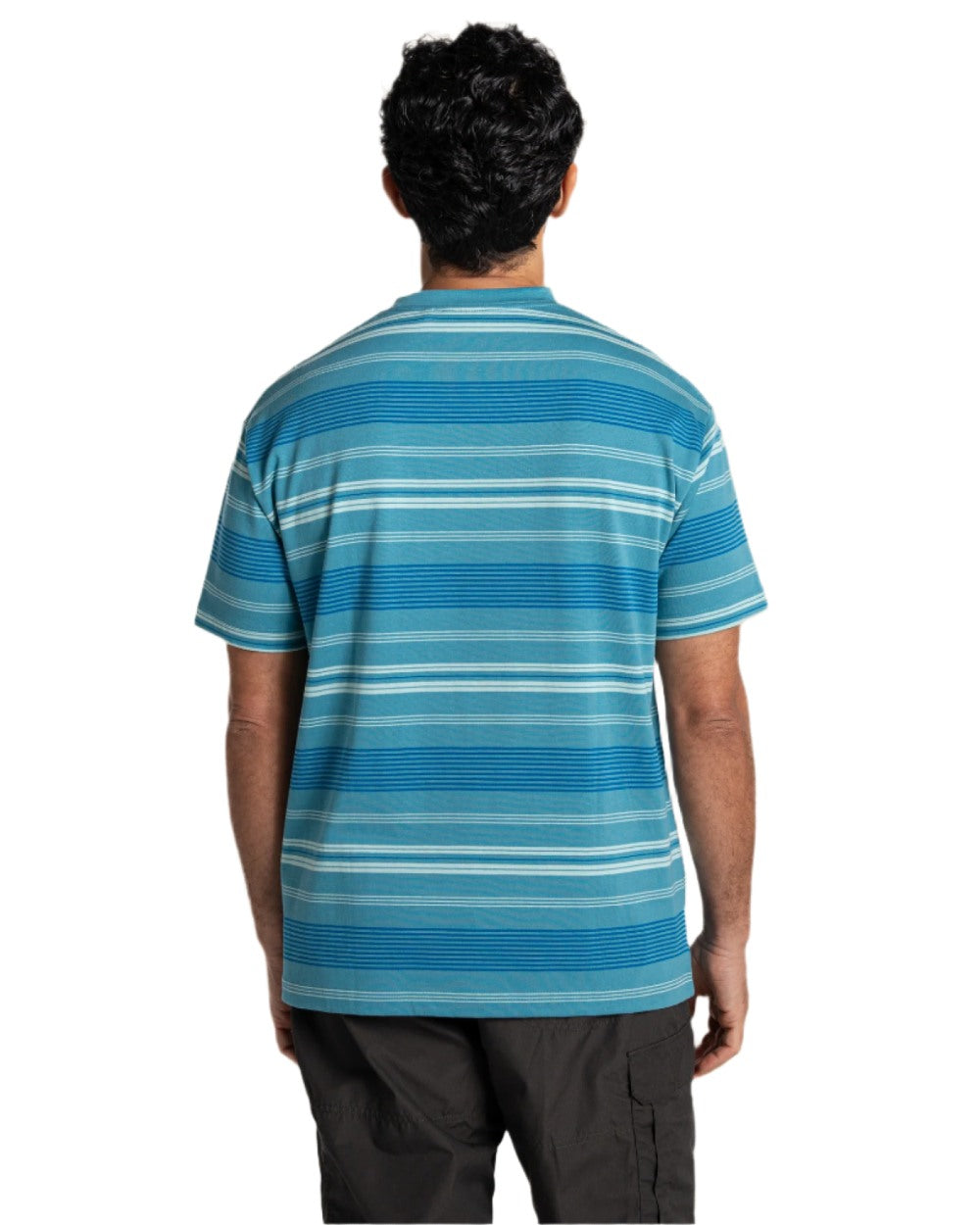 Tranquil Blue Stripe Craghoppers Mens Pointer Short Sleeved T-Shirt on white background 
