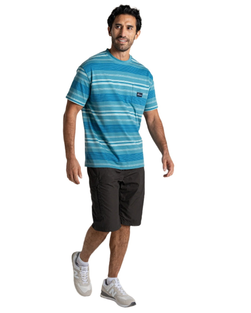 Tranquil Blue Stripe Craghoppers Mens Pointer Short Sleeved T-Shirt on white background 
