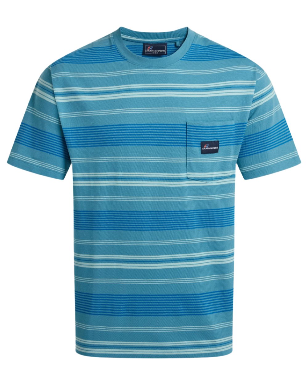 Tranquil Blue Stripe Craghoppers Mens Pointer Short Sleeved T-Shirt on white background 