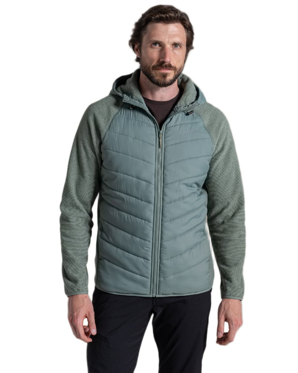 Laurel Green coloured Craghoppers Mens Vamos Hybrid Insulating Jacket  on white background 