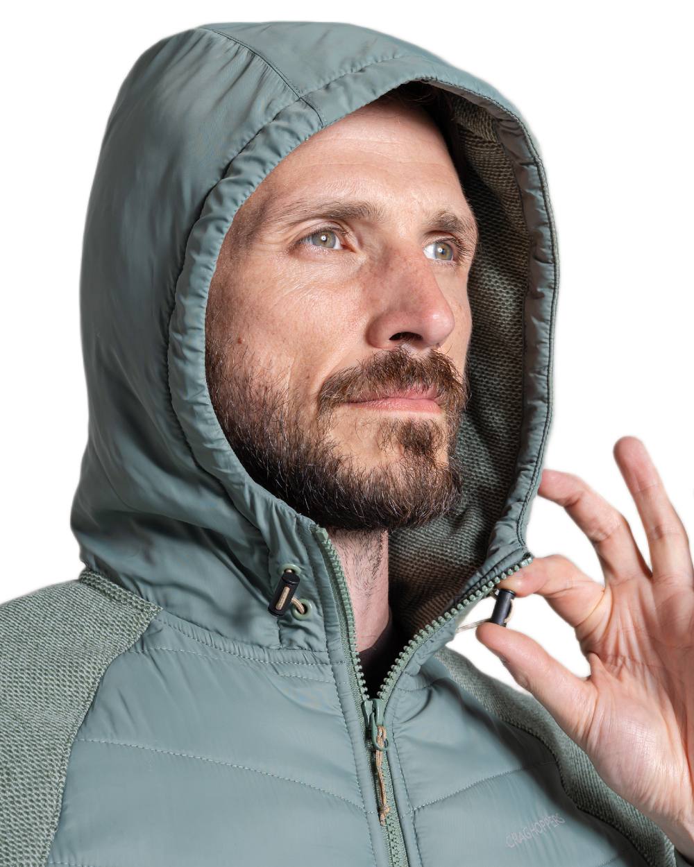Laurel Green coloured Craghoppers Mens Vamos Hybrid Insulating Jacket  on white background 