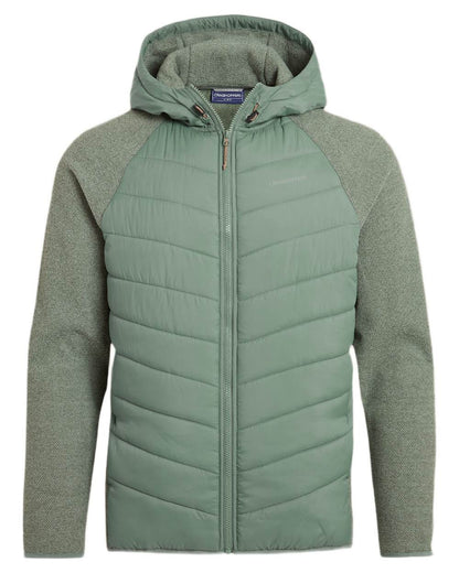 Laurel Green coloured Craghoppers Mens Vamos Hybrid Insulating Jacket  on white background 