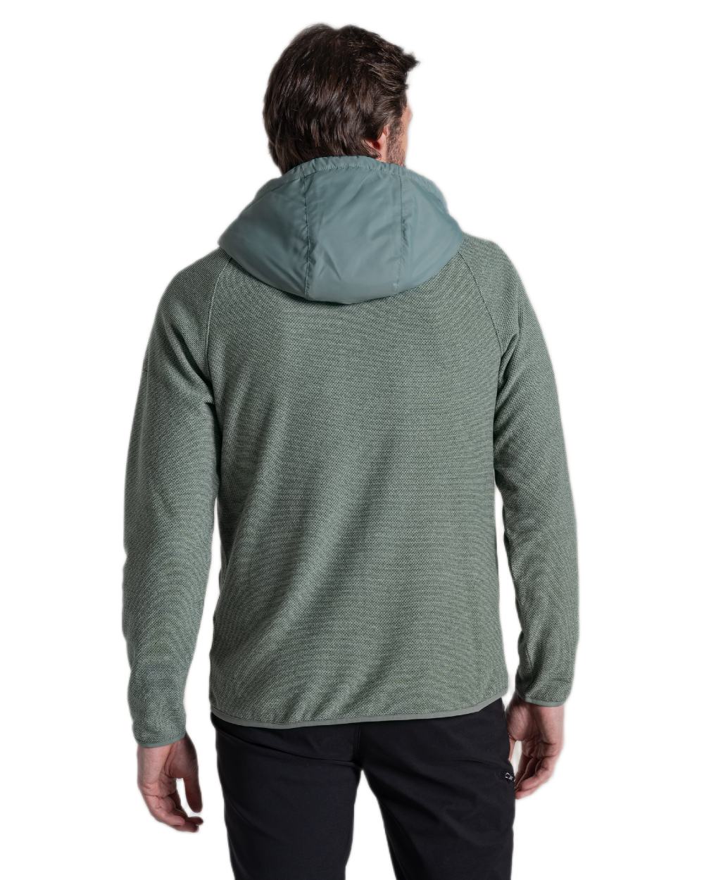 Laurel Green coloured Craghoppers Mens Vamos Hybrid Insulating Jacket  on white background 