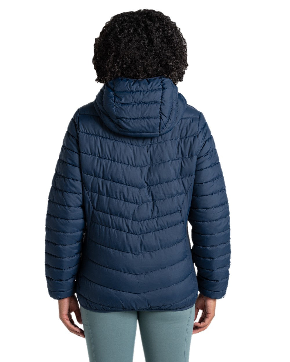 Blue Navy coloured Craghoppers Womens Compresslite IX Hooded Insulating Jacket on white background 
