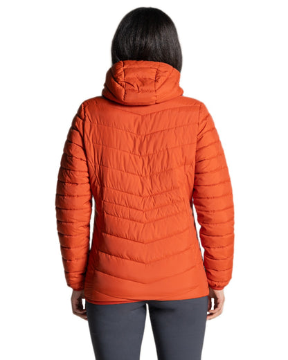 Carnelian Orange Coloured Craghoppers Womens Compresslite IX Hooded Insulating Jacket on white background 