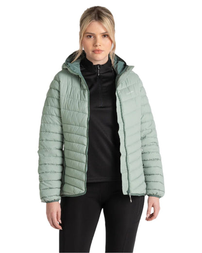 Meadow Haze Frosted Pine coloured Craghoppers Womens Compresslite VIII Hooded Jacket on white background 