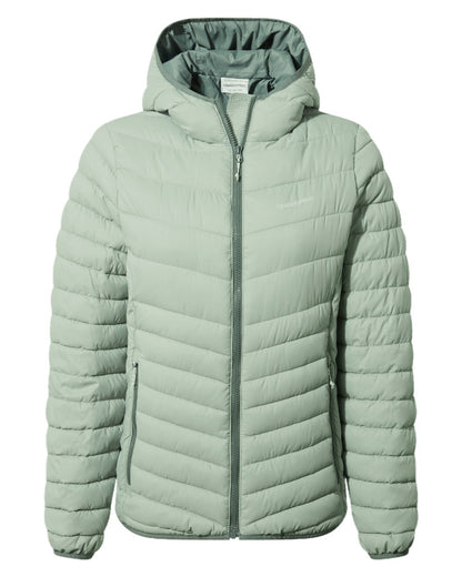 Meadow Haze Frosted Pine coloured Craghoppers Womens Compresslite VIII Hooded Jacket on white background 