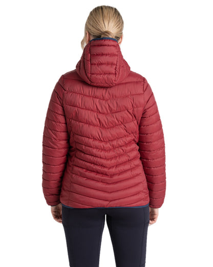 Mulberry Jam coloured Craghoppers Womens Compresslite VIII Hooded Jacket on white background 