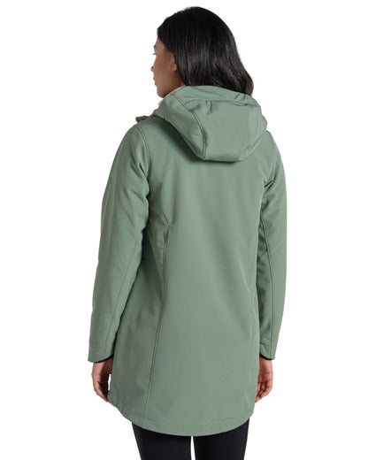 Sage coloured Craghoppers Womens Hopegill Hooded Jacket on white background 