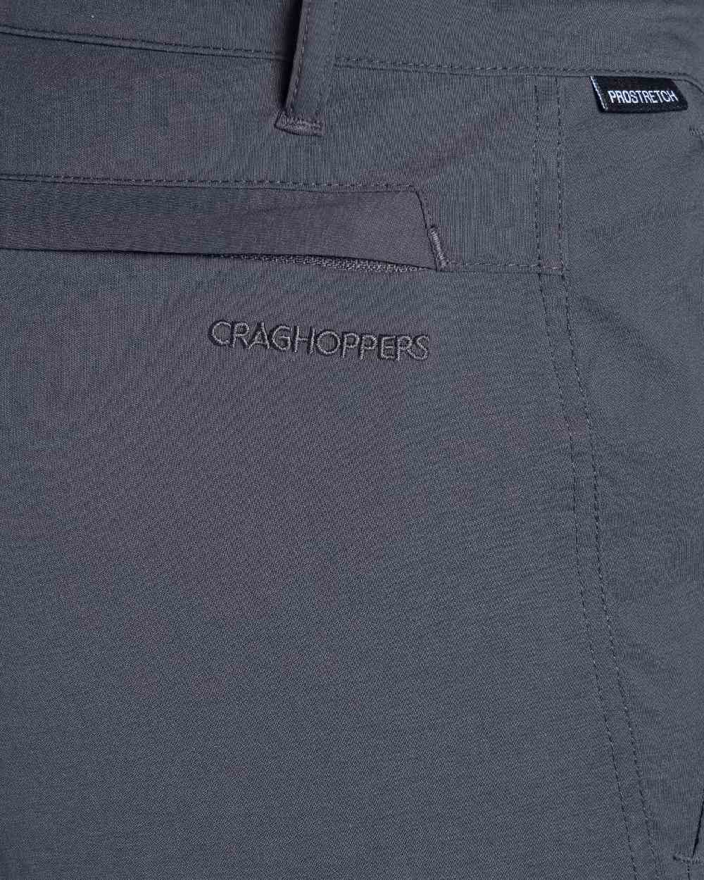 Graphite Coloured Craghoppers Womens Kiwi Pro III Trouser on white background 