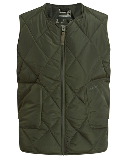 Verdant coloured Craghoppers Womens National Trust Borage Vest on white background 