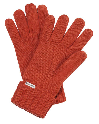 Spice Coloured Craghoppers Womens National Trust Guelder Gloves on white background 