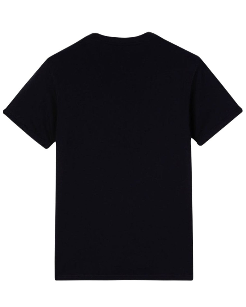 Black coloured Dickies Denison T-shirt on white background 