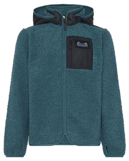 Star Blue coloured Didriksons Childrens Exa Full-Zip Fleece 3 on white background 
