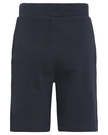 Navy coloured Didriksons Childrens Fejan Shorts on white background 