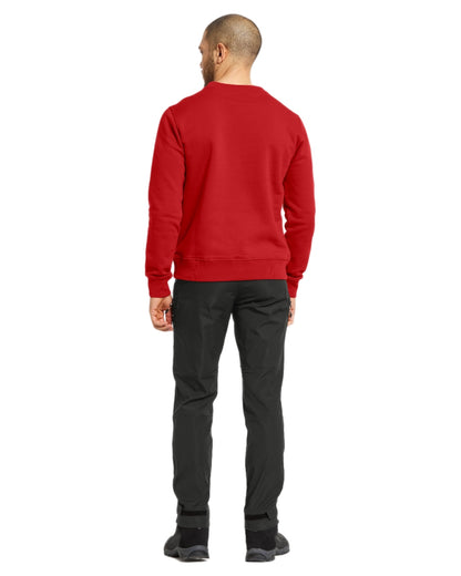 Pomme Red coloured Didriksons Mens Fyn Sweater on white background 