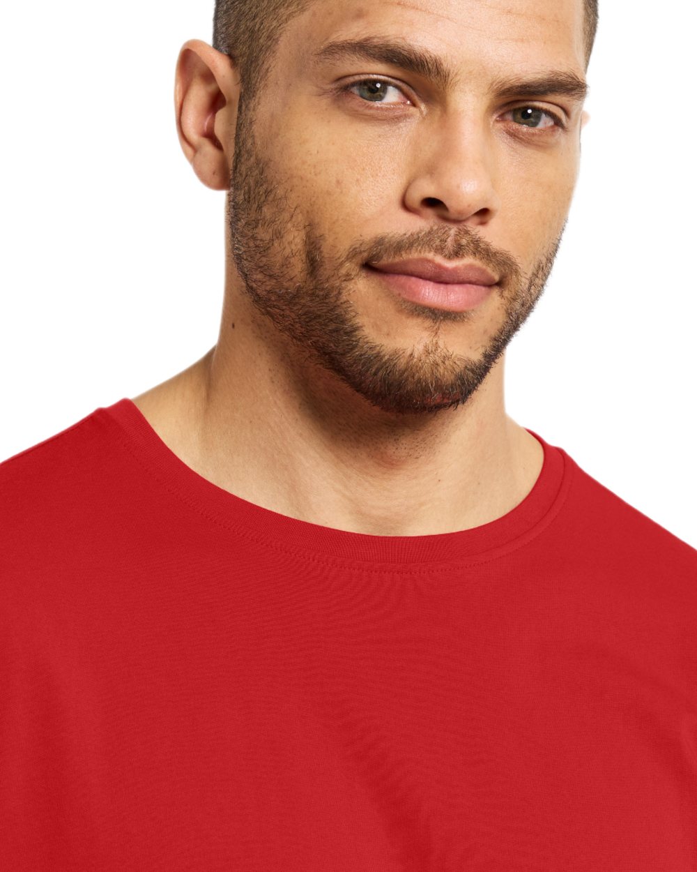 Pomme Red coloured Didriksons Mens Harald T-Shirt on white background 