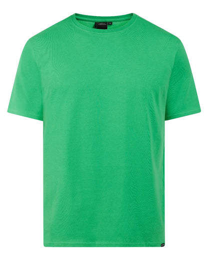 Summer Green coloured Didriksons Mens Harald T-Shirt on white background 