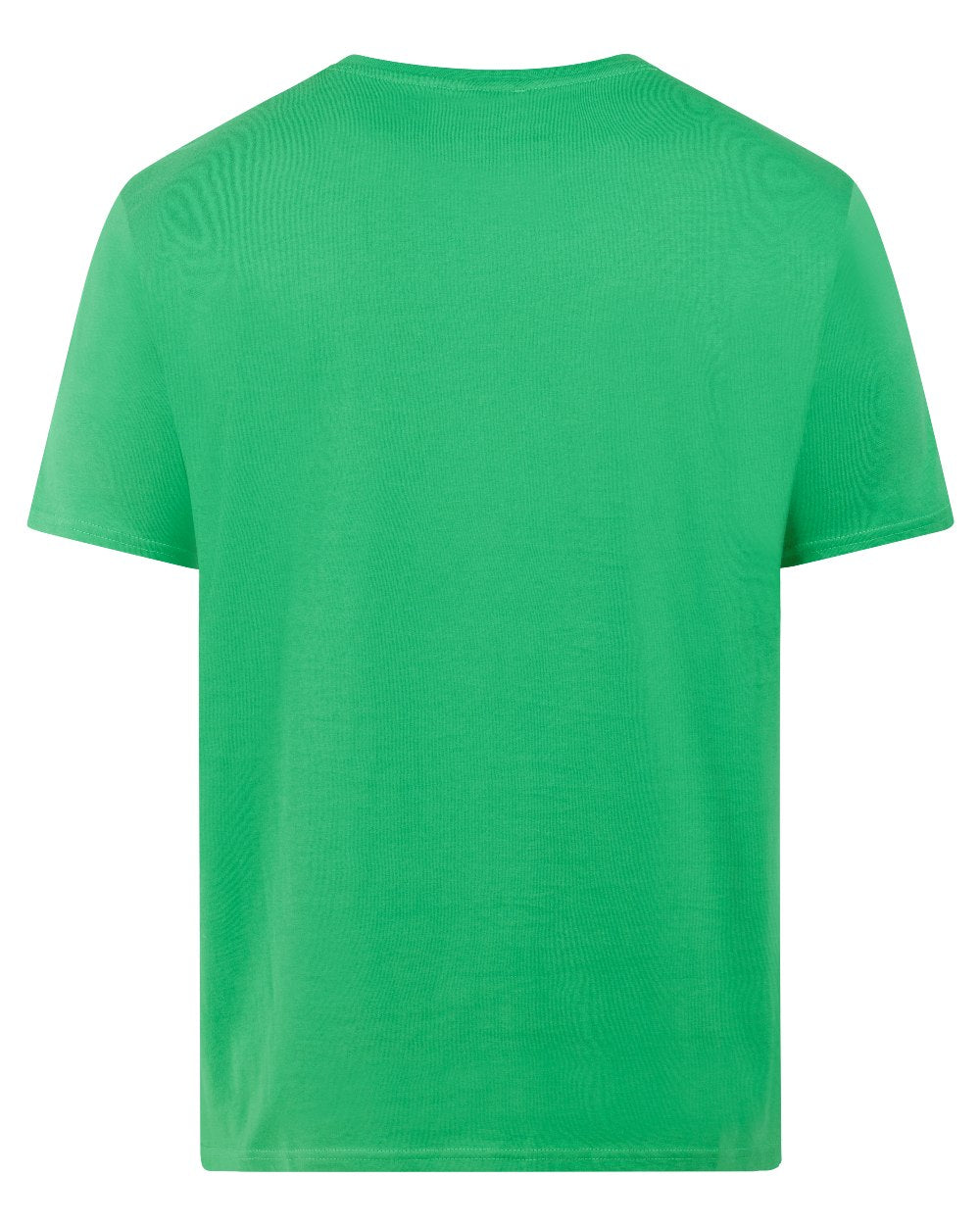 Summer Green coloured Didriksons Mens Harald T-Shirt on white background 