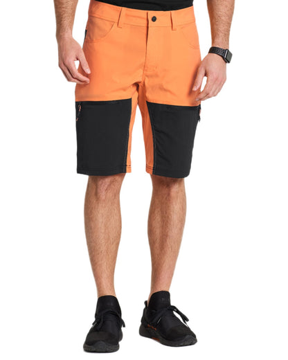 Sunset coloured Didriksons Mens Kallax Shorts on white background 