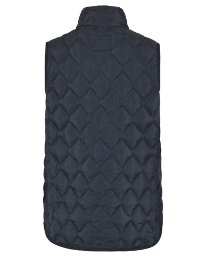 Sleepy Blue coloured Didriksons Womens Evy Vest on white background 