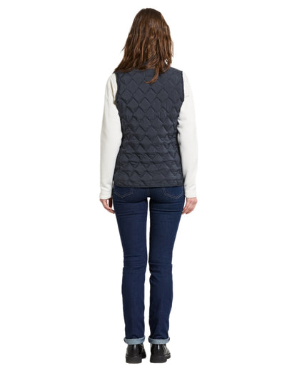 Sleepy Blue coloured Didriksons Womens Evy Vest on white background 