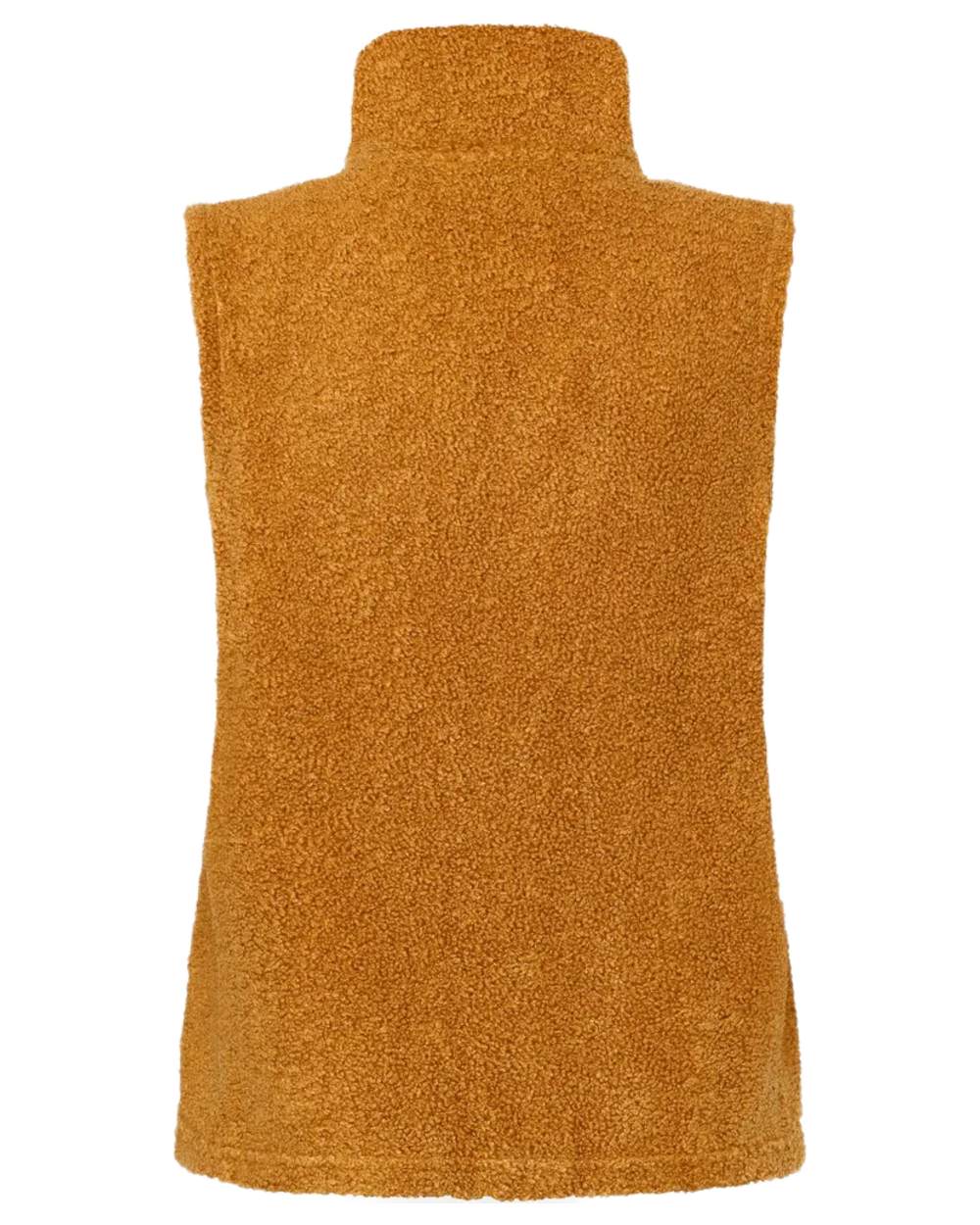 Spice Brown coloured Didriksons Womens Kiana Vest on white background 