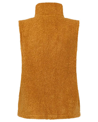 Spice Brown coloured Didriksons Womens Kiana Vest on white background 
