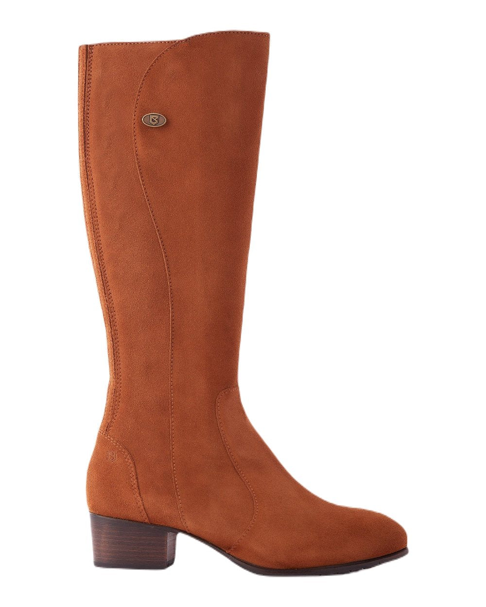 Camel coloured Dubarry Downpatrick Knee High Boots on white background 