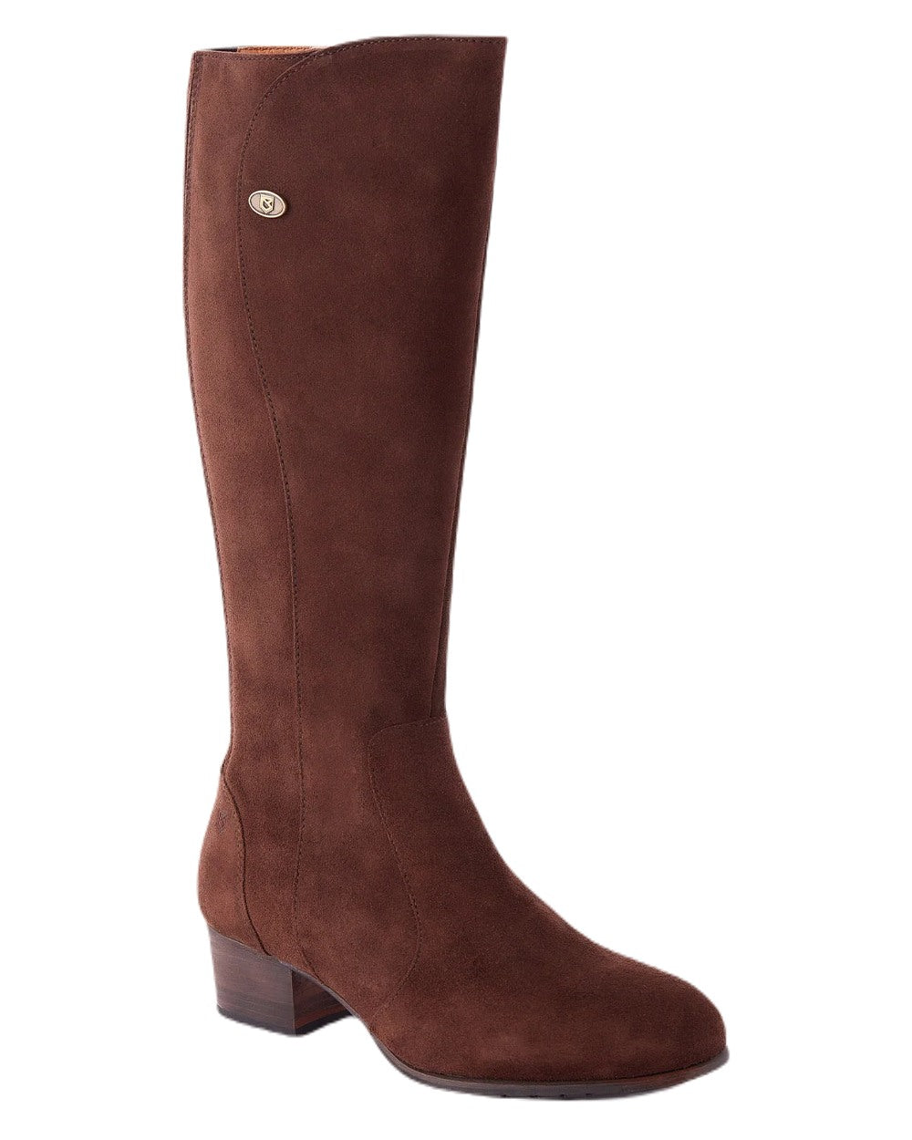 Cigar coloured Dubarry Downpatrick Knee High Boots on white background 