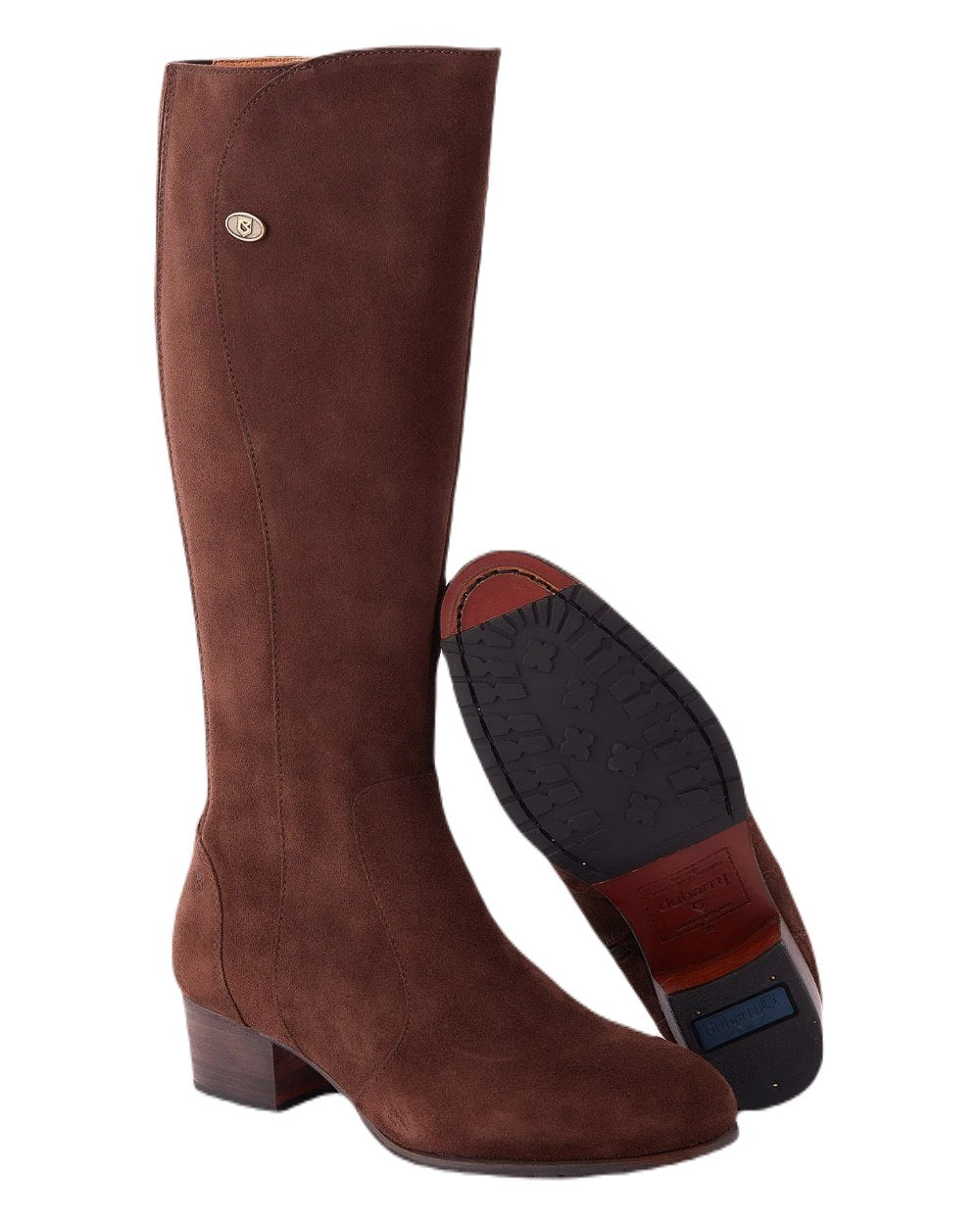 Cigar coloured Dubarry Downpatrick Knee High Boots on white background 