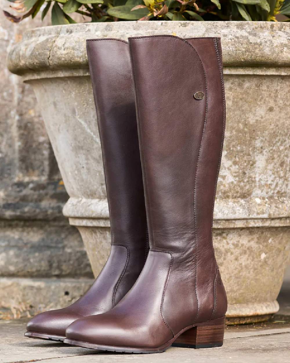 Old Rum coloured Dubarry Downpatrick Knee High Boots on tree pot background 