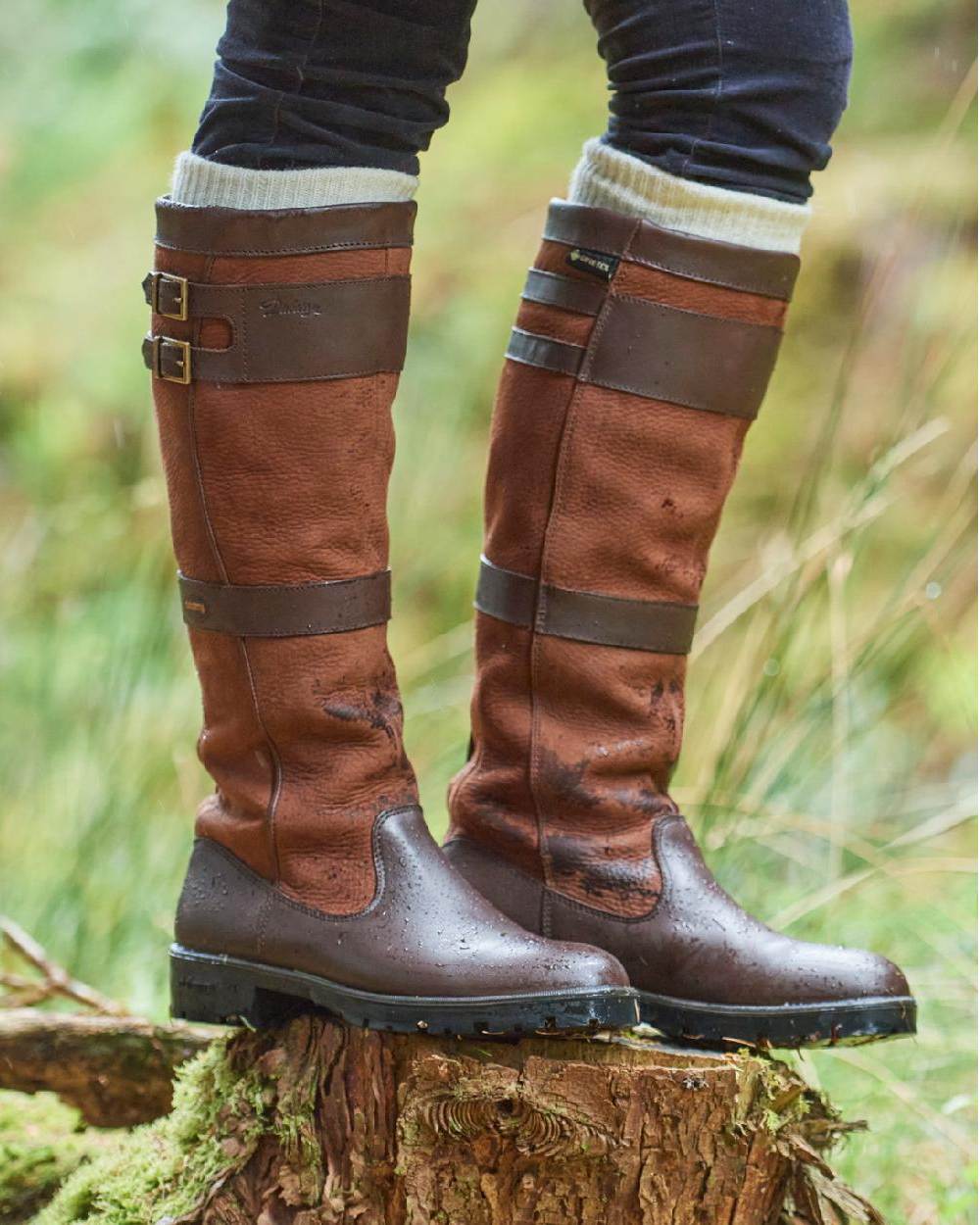 Walnut coloured Dubarry Longford Country Boots on wood background 