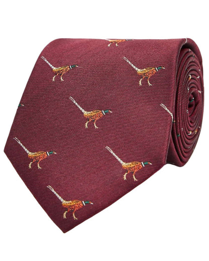 Merlot coloured Dubarry Madden Mens Silk Tie on white background 