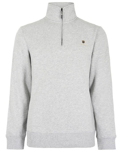 Grey Marl coloured Dubarry Mens Boyce Zip Neck Sweater on white background 