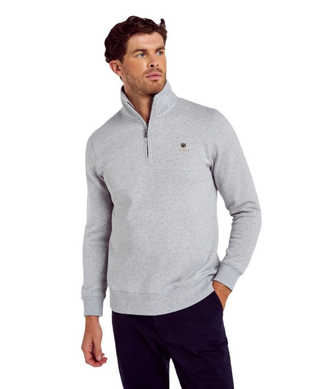 Grey Marl coloured Dubarry Mens Boyce Zip Neck Sweater on white background 