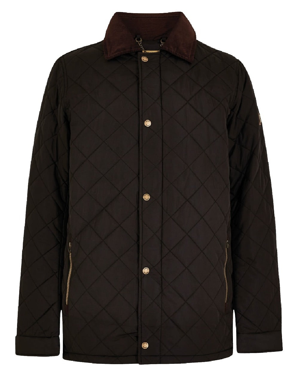 Black coloured Dubarry Mountusher Quilted Jacket on white background 