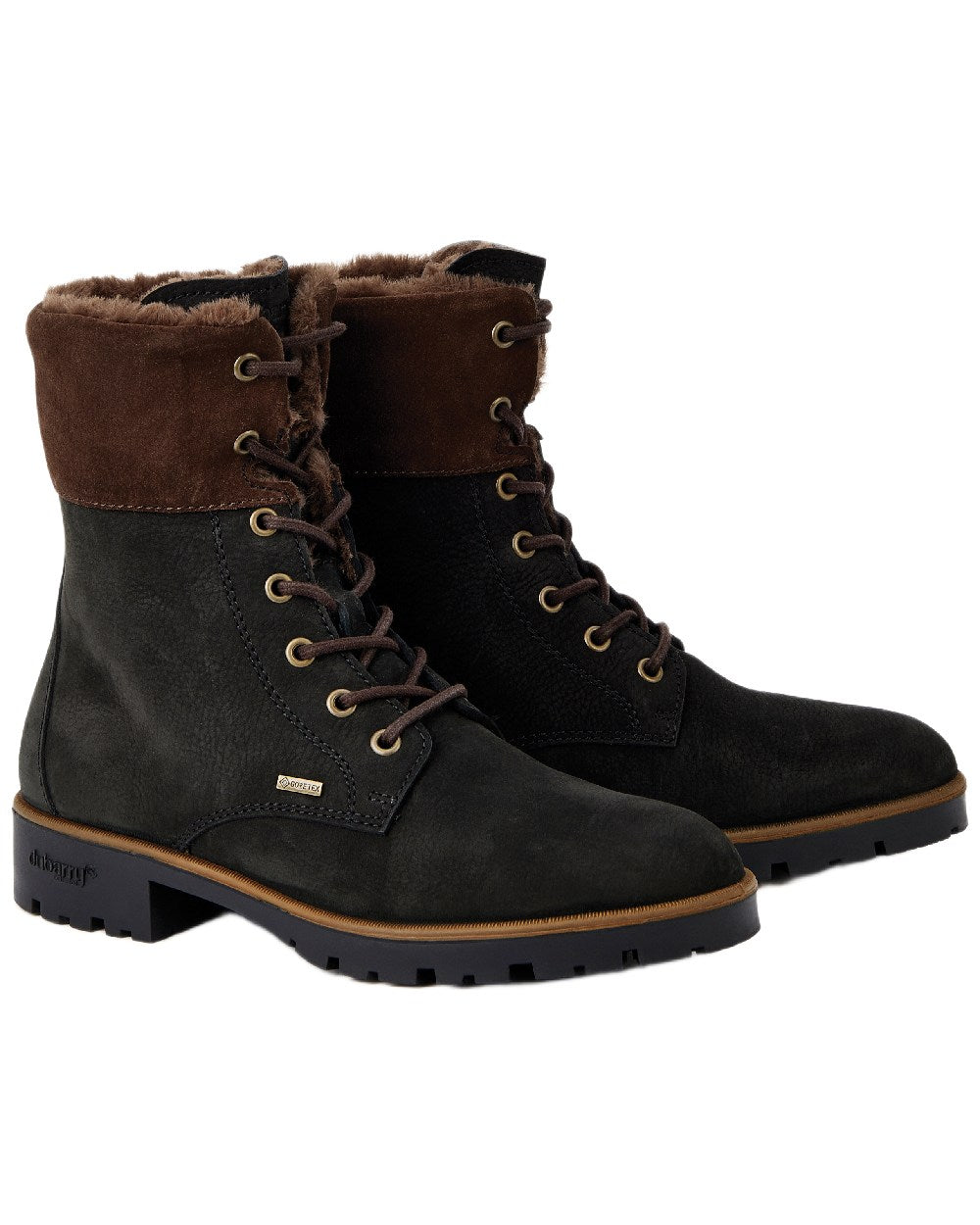 Black Coloured Dubarry Womens Glengarriff Ankle Boots on white background 