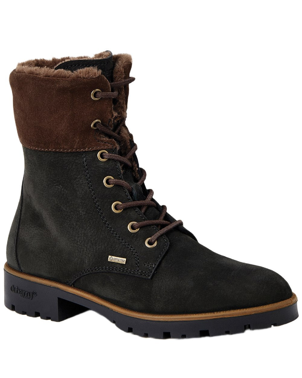 Black Coloured Dubarry Womens Glengarriff Ankle Boots on white background 