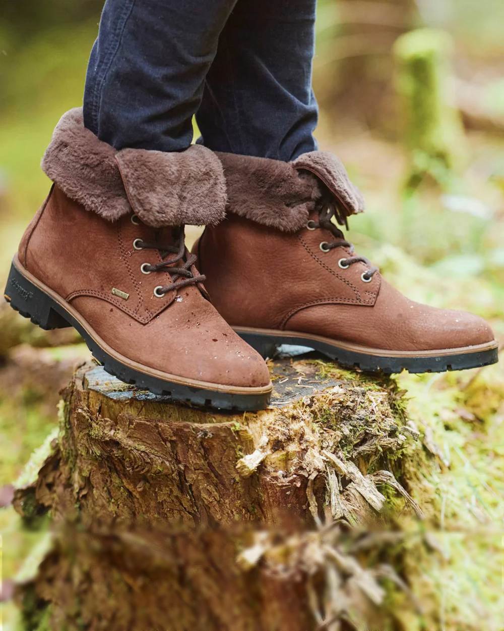 Walnut Coloured Dubarry Womens Glengarriff Ankle Boots on white background 