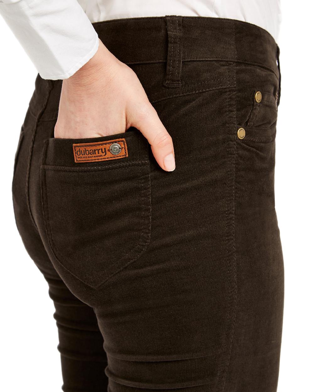 Bourbon Coloured Dubarry Womens Honeysuckle Jeans on white background 
